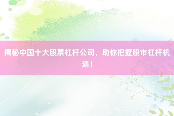 揭秘中国十大股票杠杆公司，助你把握股市杠杆机遇！