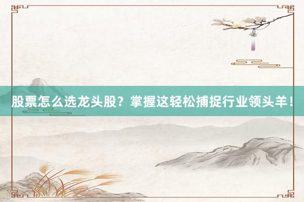 股票怎么选龙头股？掌握这轻松捕捉行业领头羊！