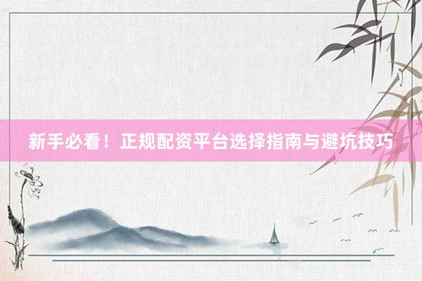 新手必看!正规配资平台选择指南与避坑技巧