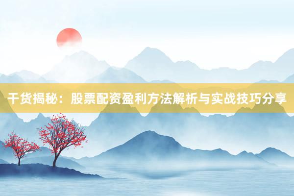 干货揭秘：股票配资盈利方法解析与实战技巧分享