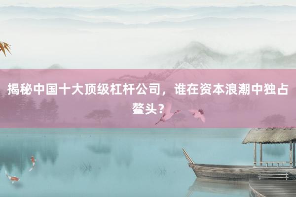 揭秘中国十大顶级杠杆公司，谁在资本浪潮中独占鳌头？